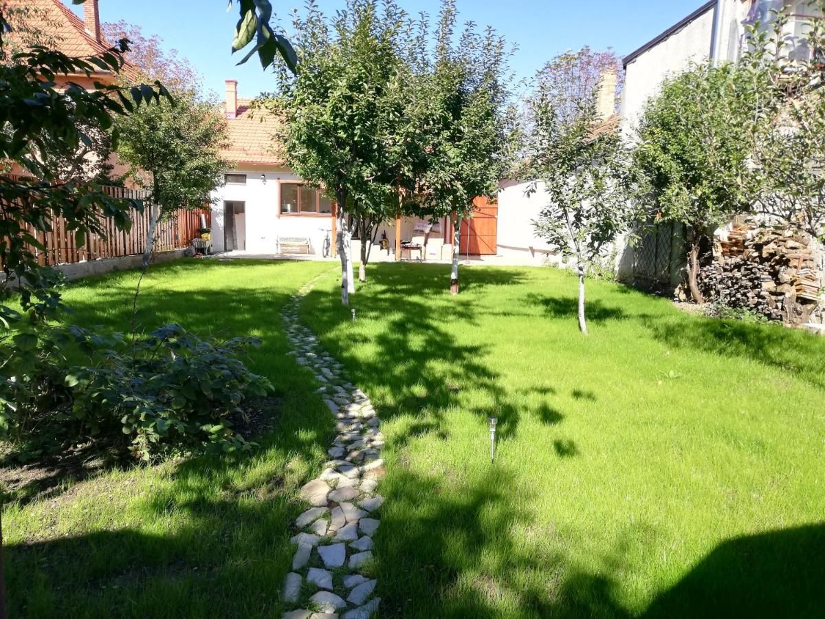 Хостелы Zozo Hostel Брашов-18