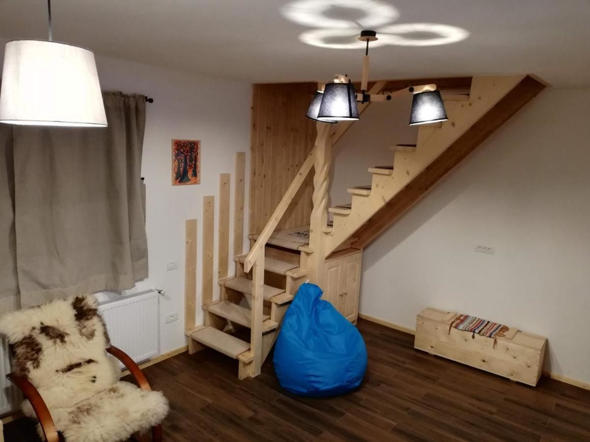 Хостелы Zozo Hostel Брашов-32