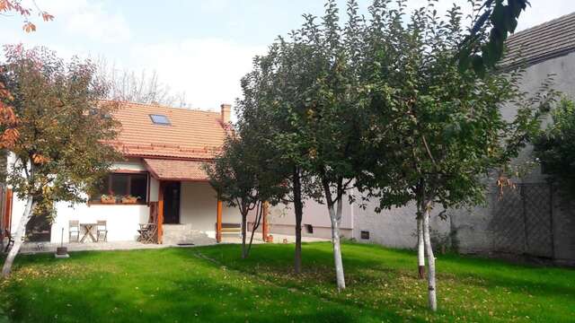 Хостелы Zozo Hostel Брашов-23